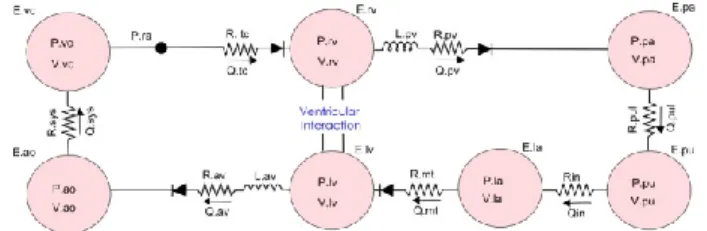 Figure 1: CVS model made up of 7 elastic chambers and 4 
