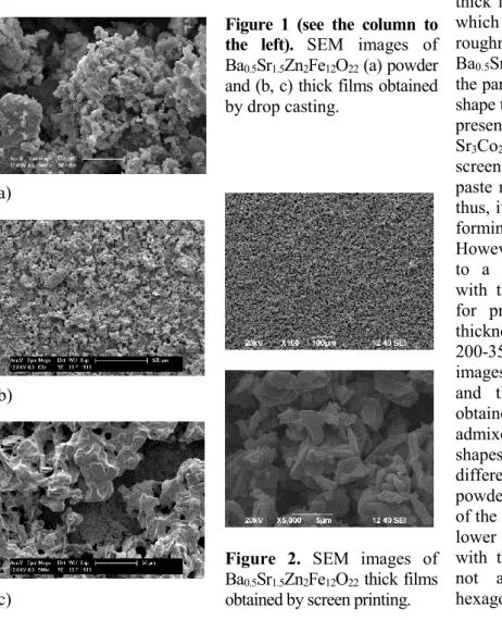 Figure 1 shows SEM images of the Ba 0.5 Sr 1.5 Zn 2 Fe 12 O 22  powder and the corresponding thick film  produced by drop casting