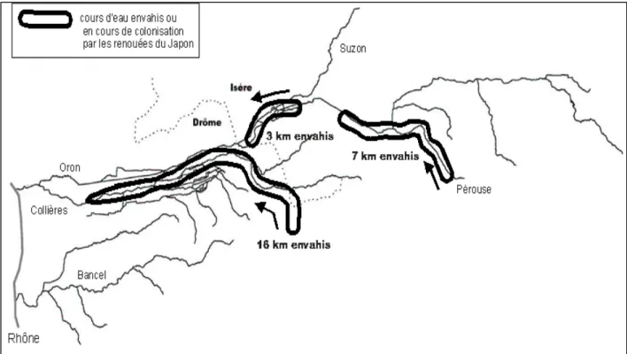 Figure 3 :  invasion par les renouées du Japon  des cours d’eau de la  plaine Bièvre-Valloire (Drôme/Isère)  Une cartographie précise des renouées permet de mettre clairement en évidence les foyers de propagation et le sens de cette propagation (amont vers