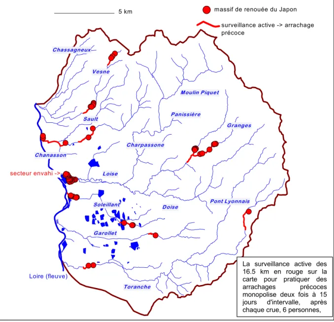 Figure 4 : stratégie de lutte contre l'invasion par les renouées du Japon sur les rivières du Matin (Loire)