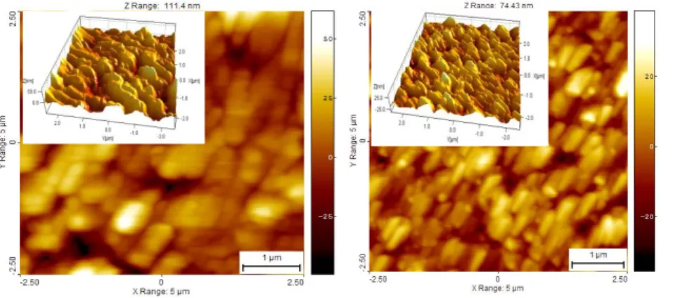Figure 5. AFM micro- micro-graphs  of  ZnO:Ni  0.4  and  ZnO:Ni  1  films  treated  at  600  o C