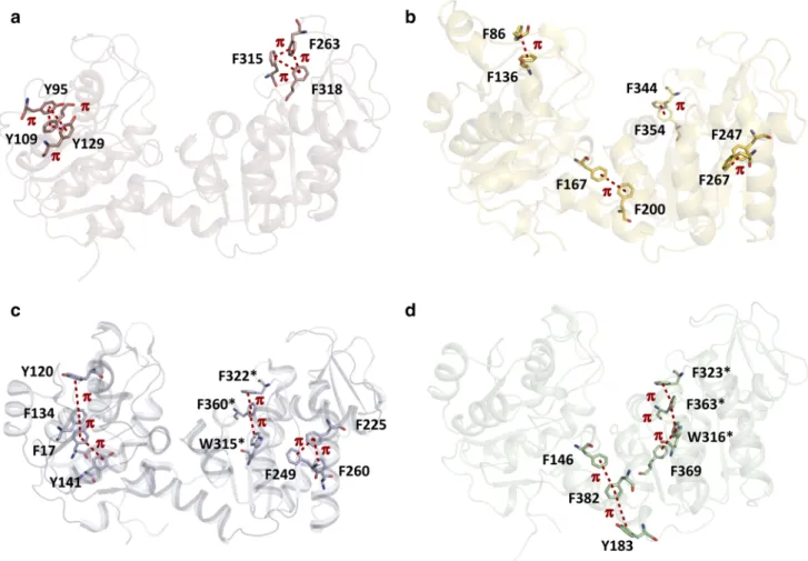 Fig. 6    Formation of compact (a), extended (c, d) or semi-compact (b)  clusters of aromatic residues