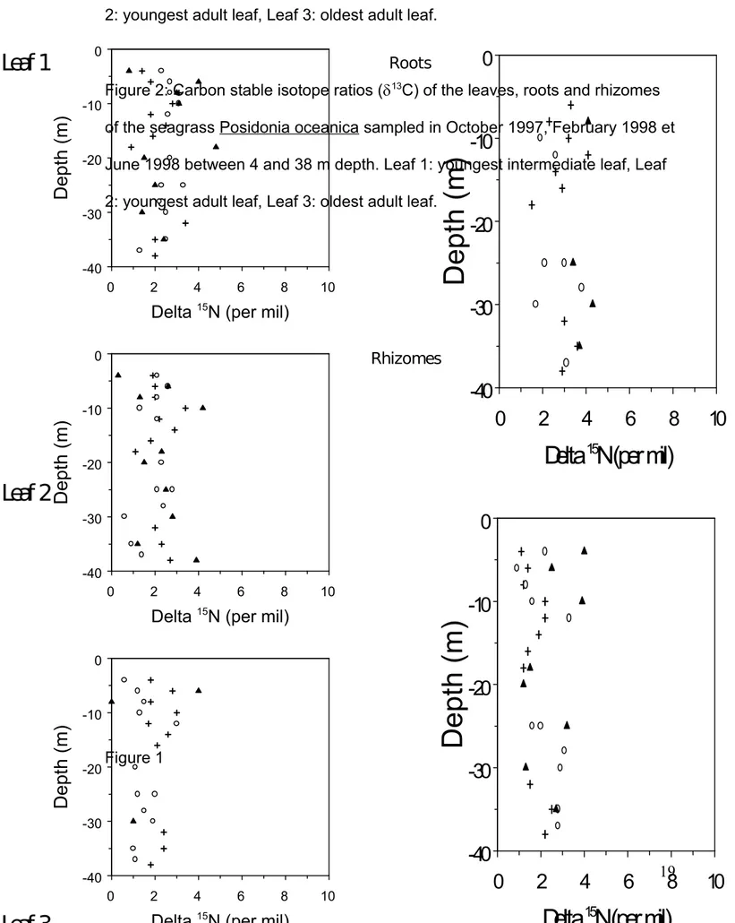Figure 1: Nitrogen stable isotope ratios ( 15 N) of the leaves, roots and rhizomes  of the seagrass Posidonia oceanica sampled in October 1997, February 1998 et June 1998 between 4 and 38 m depth