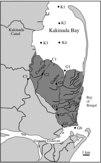 Fig. 1. Map of study area, showing major waterways and sampling locations ( D ). Dark areas represent main 