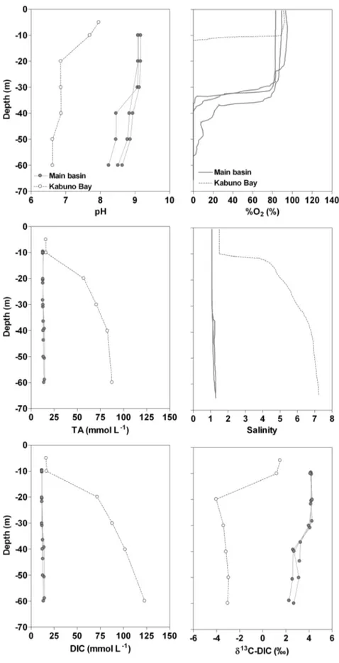 Figure 3. Vertical profiles in March 2007 of pH, oxygen saturation level (%O 2 , %), total alkalinity (TA, mmol L 21 ), salinity, dissolved inorganic carbon (DIC, mmol L 21 ), d 13 C signature of DIC (d 13 C-DIC, %) in Kabuno Bay and in the three northernm