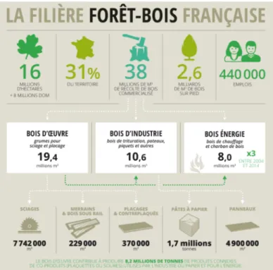 Figure 1 : infographie sur  la filière forêt-bois française (Ministère de l'agriculture et de l'alimentation, 2018) 