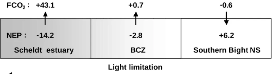 Figure 7.2. Annual budgets of NEP and FCO 2  along a continuum from the Scheldt  estuary to the SBNS (fluxes in mol m -2  d -1 ), adapted from Schiettecatte (2006)