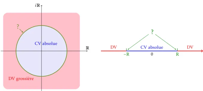 Figure 1 – Le disque de convergence et sa restriction au cas réel.