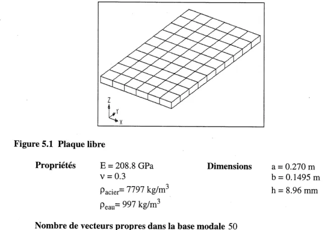 Figure 5.1 Plaque libre