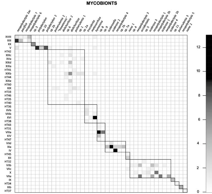 Figure 1 shows the modules revealed by our global survey  of Peltigera section Polydactylon (dataset 1)