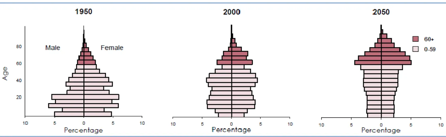 Figure 8  Population pyramids 