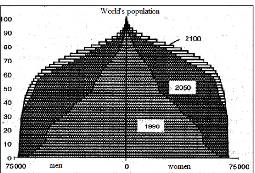 Figure 3  World population pyramid 