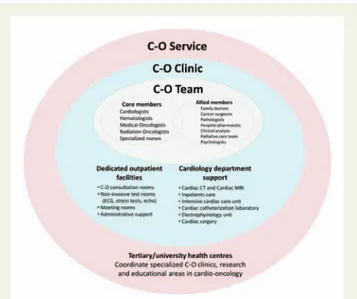 Table 1 Goals of the Cardio-Oncology Services Unification of the cancer care process