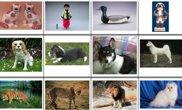 Fig. 1. A sample of images from GT9F. Every line corresponds to a class (“collector”,