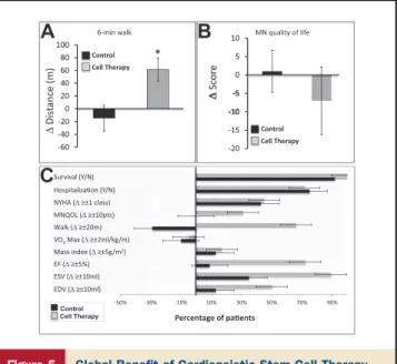 Figure 4 Impact of Cardiopoietic Stem Cell Therapy on Cardiac Function and Structure at 6-Month Follow-Up