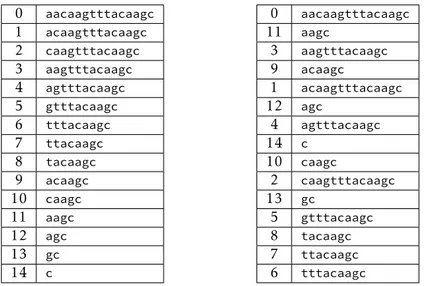 Figure 3 – À droite, le tableau des suffixes de s = aacaagtttacaagc rangé par ordre lexicographique.