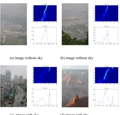 Fig. 2:  typical images (left) and their 2D (up) and 1D (down) intensity  histograms.