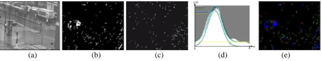 Fig. 4. Precipitation detection: (a) original video frame; (b) segmentation of moving objects; (c) selection of potential  hydrometeor streaks; (d) orientation histogram; (e) detection of falling raindrops or snowflakes (green pixels)