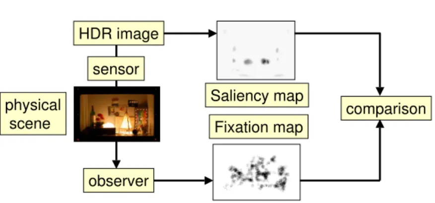 Fig. 5. Framework of the Saliency Map evaluation for HDR images.