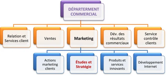 Figure 1 - L'entité &#34;Études et Stratégie&#34; dans l'organigramme simplifié du département Commercial