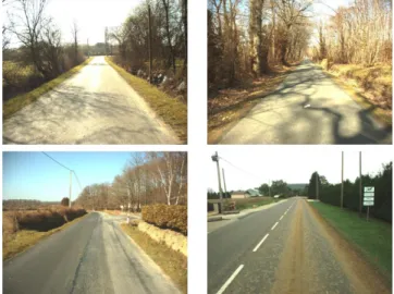 Fig. 1. Examples of difficult images for road surface detection.