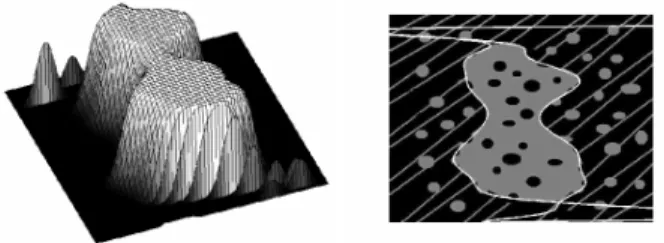 Fig. 5. 15 th degree polynomial region fitting on a difficult synthetic image. Left: Ω A l ,A r