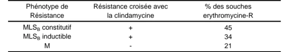 Tableau 4  :  Streptococcus agalactiae  : phénotypes «MLS» de 58 souches de streptocoques du groupe B résistant à l’érythromycine Phénotype de Résistance croisée avec % des souches