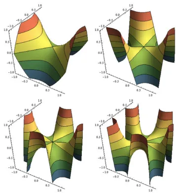 Figure 5. Graphe des fonctions f 2,1 à f 2,4 , avec courbes de niveau, autour de l'origine