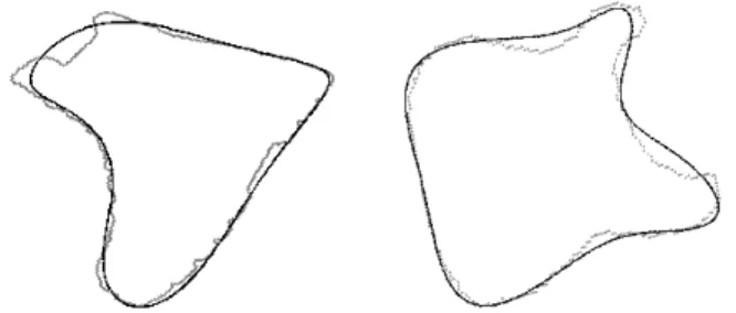 Figure 1. The data set and its associated zero set obtained with the 3L IP fitting algorithm.