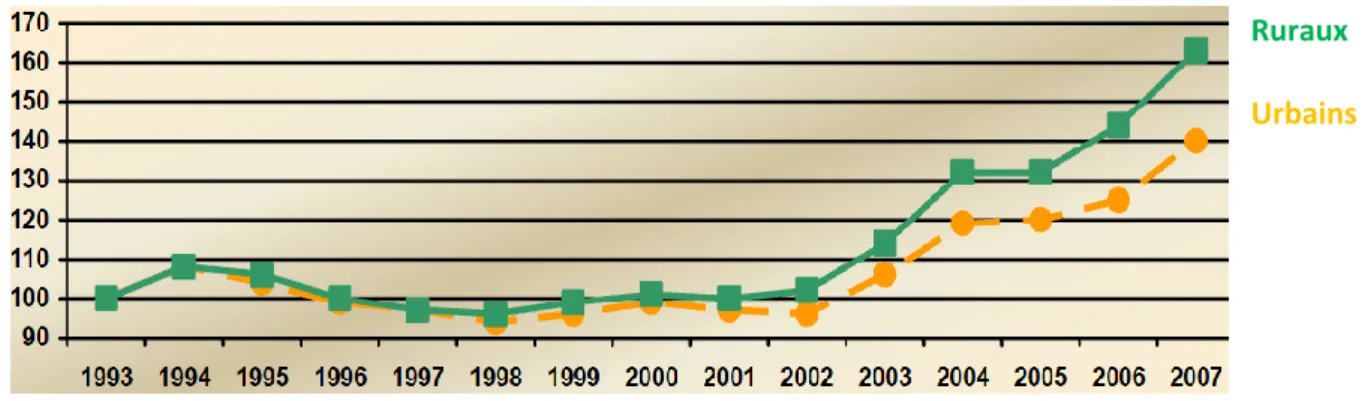 Figure 1 : Evolution en indice (base de 100 en 1993) de la création d'entreprises entrez 1993 et 2007