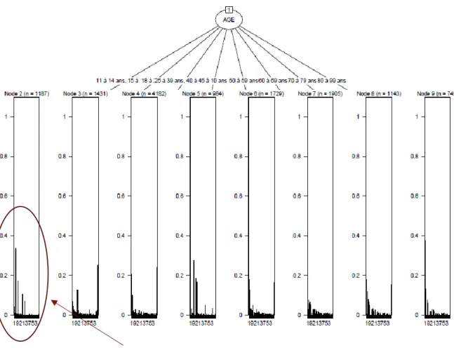Figure 9 :    Exemple d’un arbre de niveau 1 segmenté par classes d’âges 