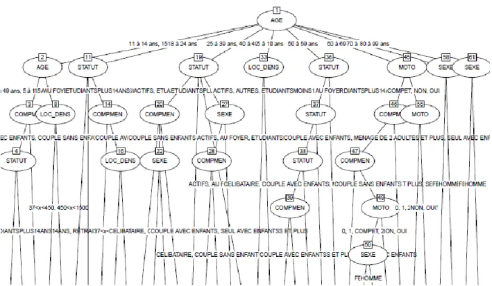 Figure 10 :   Exemple d’un arbre avec alpha 4=0.5 et alpha2= 0.00005, effectif minimum  par groupe =100 