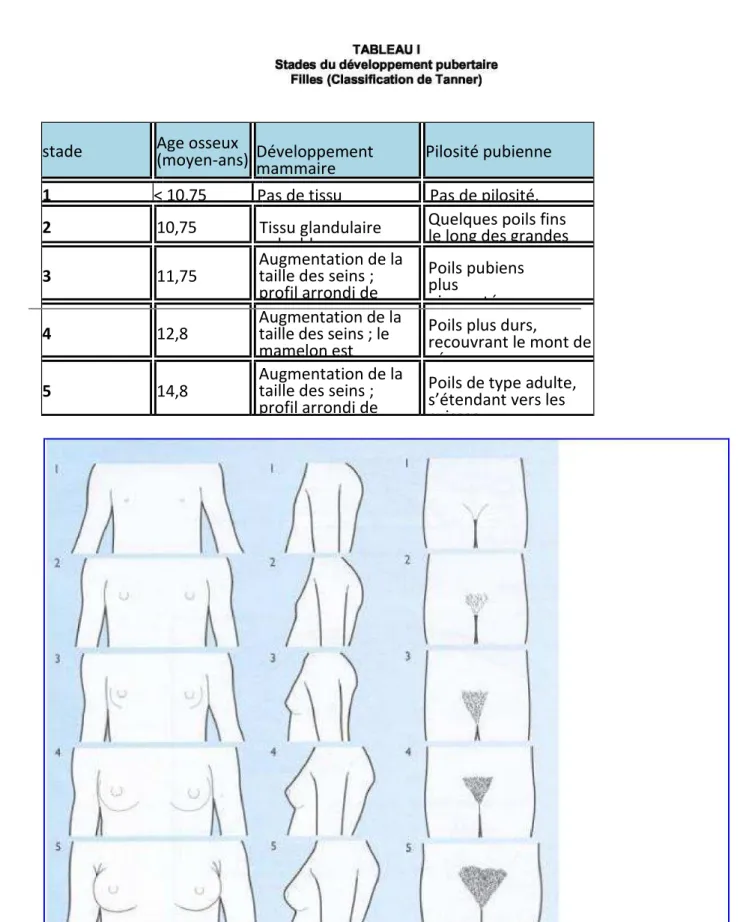 TABLEAU I Stades du développement pubertaire Filles (Classification de Tanner) 