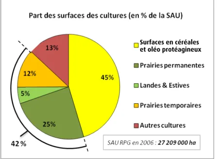 Figure 1 : Part des surfaces de culture dans la SAU déclarée en 2006 (en %). 