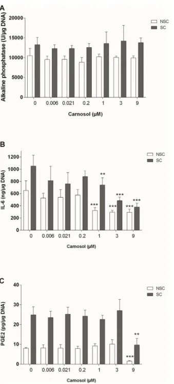 Fig 3. Effect of Carnosol on Activity of Alkaline Phosphatase (A), Production of IL-6 (B) and PGE 2 (C) in NSC and SC Subchondral Osteoblasts