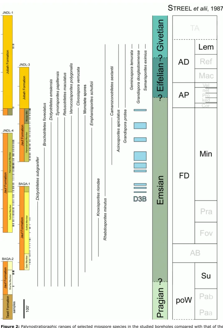 Figure 2: Palynostratigraphic ranges of selected miospore species in the studied boreholes compared with that of the 