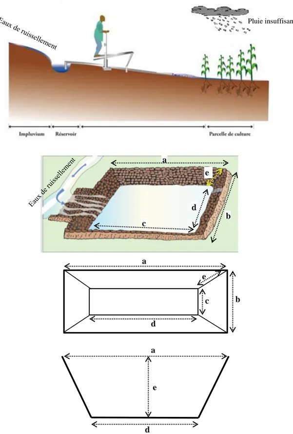 Figure 5. Dispositif de l’irrigation de complément et dimensionnement du bassin (réservoir)  de collecte des eaux de ruissellement   