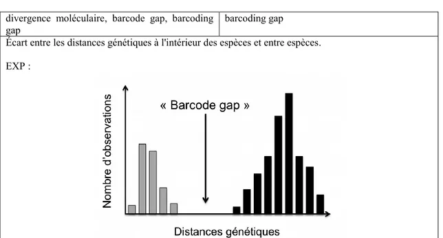 Illustration  du  « barcode  gap »:  distribution  théorique  (diagramme  de  fréquences)  des  distances  génétiques  à  l’intérieur des espèces (i.e