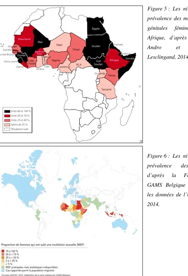 Figure 5 :  Les  niveaux  de  prévalence  des  mutilations  génitales  féminines  en  Afrique,  d’après  Armelle 