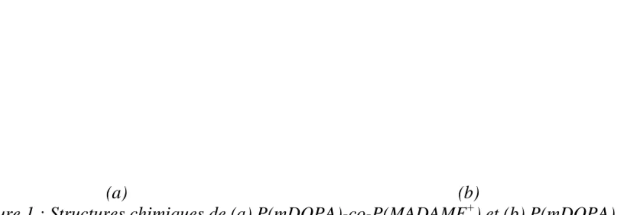 Figure 1 : Structures chimiques de (a) P(mDOPA)-co-P(MADAME + ) et (b) P(mDOPA) 