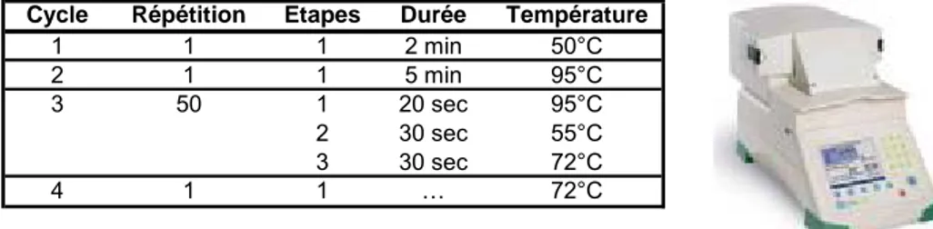 Tableau 6 : Programme des températures pour la détection de Salmonella à l’aide  du test iQ-Check