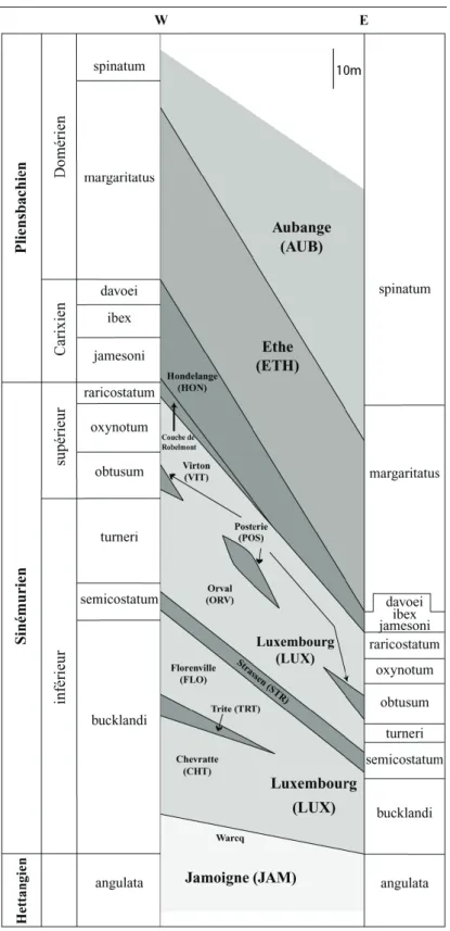 Figure III.3 : Colonne stratigraphique de la carte géologique de Meix-devant-Virton – Virton  (Belanger 2006)