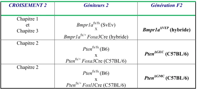 Tableau 3 : Tableau des croisements pour l’obtention de la génération F2. 