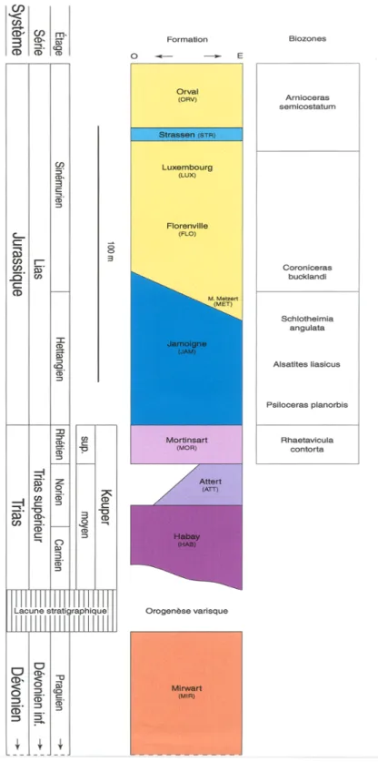 Figure 5 : Colonne lithostratigraphique de la carte géologique de Tintigny-Etalle (Ghysel et al., 1999)