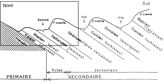 Figure 1 : Coupe schématique du cadre géomorphologique général de la zone couverte par la carte  de Tintigny-Etalle, (Masson et al., 1993)