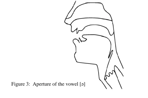 Figure 3:  Aperture of the vowel [ə] 