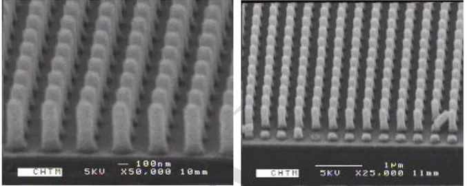 Figure  1:    SEM  images  of  nanoscale  photoresist  pillars  on  SOI  substrates  fabricated  with  interferometric lithography 