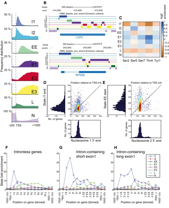 Figure 4. HMM analyses of phosphorylation state distributions.