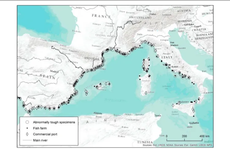 FIGURE 1 | Mediterranean locations where abnormally tough specimens of white seabream were captured according to survey data