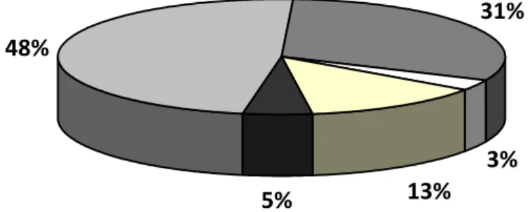 Figure 5 : problèmes dans une ou plusieurs langue(s) 